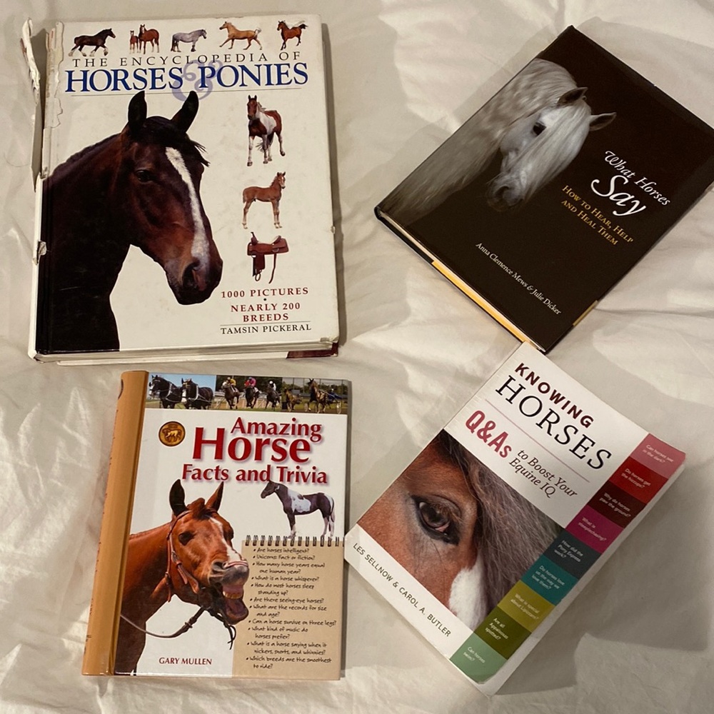 Hour horse books